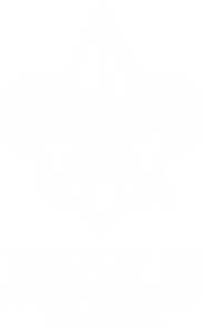 Troop 85 Logo